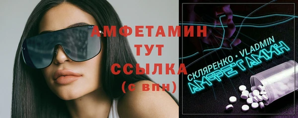 индика Аркадак