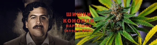 индика Аркадак