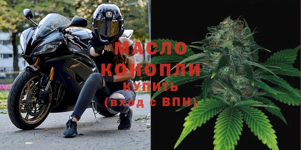 индика Аркадак