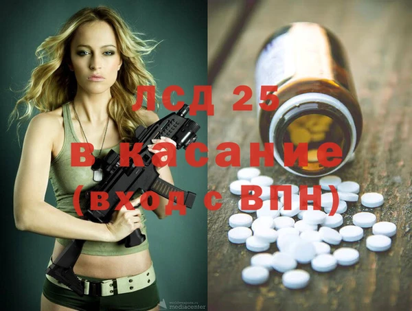 индика Аркадак
