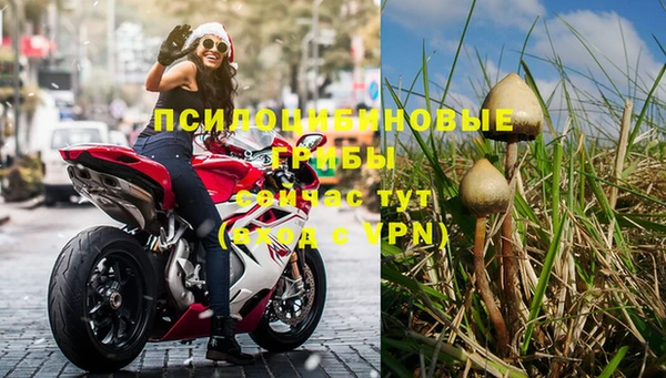 индика Аркадак