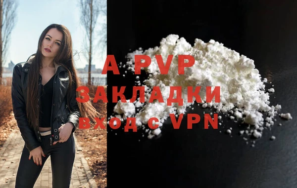 индика Аркадак
