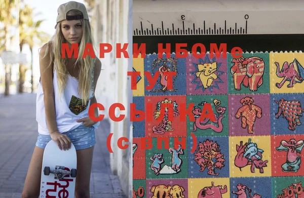 индика Аркадак