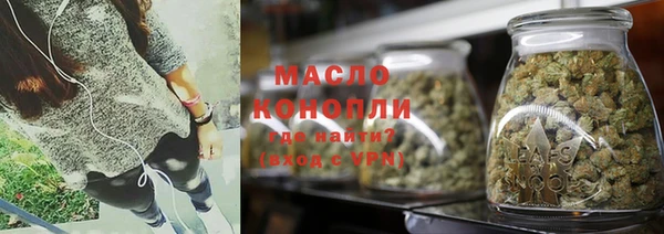 индика Аркадак