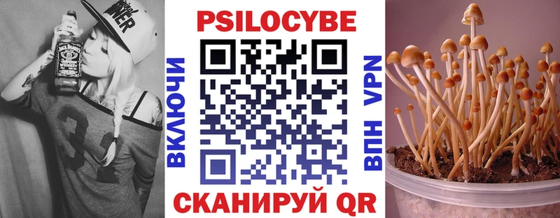Галлюциногенные грибы Psilocybine cubensis  мега ссылка  Дегтярск 