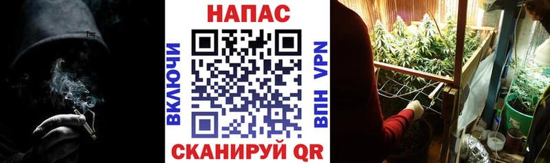 omg tor Дегтярск Шишки марихуана OG Kush